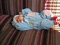 click for enlarge 1024 X 768 389,8 Kb picture