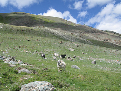 click for enlarge 1000 X 750 247,3 Kb picture