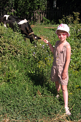 click for enlarge 500 X 750 535,7 Kb picture