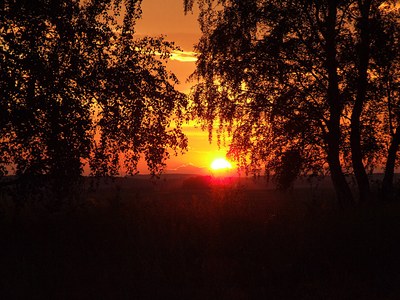 click for enlarge 1500 X 1125 456,0 Kb picture