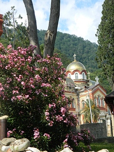 click for enlarge 768 X 1024 478,3 Kb picture