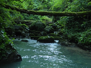 click for enlarge 1024 X 768 453,9 Kb picture