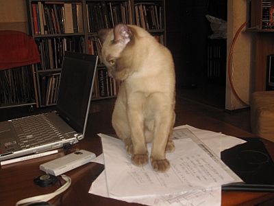 click for enlarge 800 X 600 165,4 Kb picture