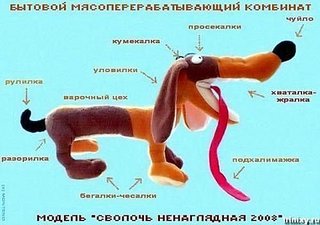 click for enlarge 500 X 352  31,3 Kb picture