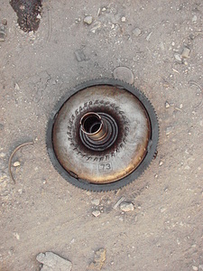 click for enlarge 1536 X 2048 414,4 Kb picture