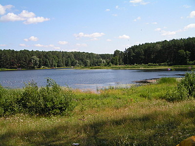 click for enlarge 800 X 600 172,3 Kb picture