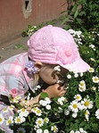 click for enlarge 1920 X 2583 512,3 Kb picture