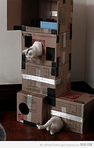 click for enlarge 400 X 630  39,0 Kb picture