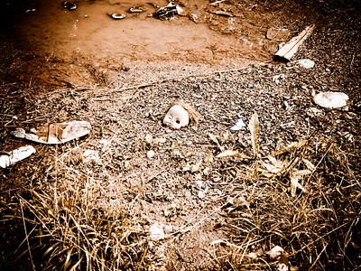 click for enlarge 1920 X 1440 888,8 Kb picture