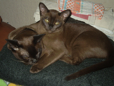 click for enlarge 640 X 480 162,3 Kb picture