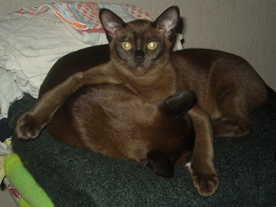 click for enlarge 640 X 480 167,9 Kb picture