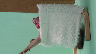 click for enlarge 1920 X 1080 797,7 Kb picture