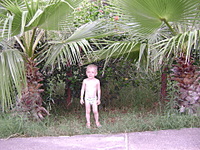 click for enlarge 1920 X 1440 414,6 Kb picture