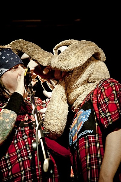 click for enlarge 403 X 604  96,0 Kb picture