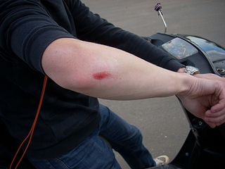 click for enlarge 1024 X 768 400,6 Kb picture