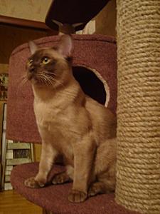 click for enlarge 980 X 1306 143,6 Kb picture