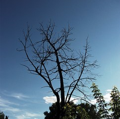 click for enlarge 1920 X 1902 842,1 Kb picture