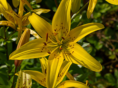 click for enlarge 1920 X 1440 577,8 Kb picture