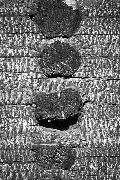 click for enlarge 532 X 800 446,8 Kb picture