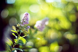 click for enlarge 1024 X 685 210,9 Kb picture