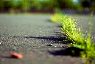click for enlarge 1024 X 685 244,8 Kb picture