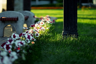 click for enlarge 1024 X 685 260,0 Kb picture