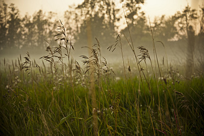 click for enlarge 1920 X 1275 589,5 Kb picture