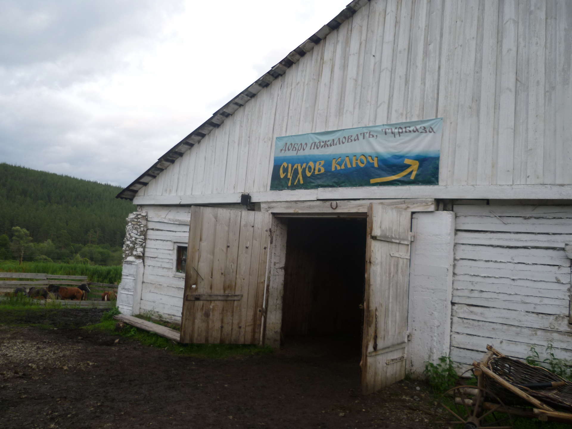 Сухов ключ Конная прогулка