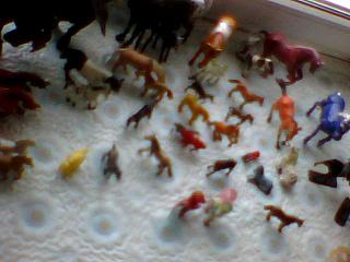click for enlarge 640 X 480 34,3 Kb picture