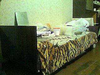 click for enlarge 640 X 480 57,3 Kb picture