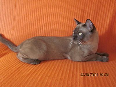 click for enlarge 800 X 600 144,8 Kb picture