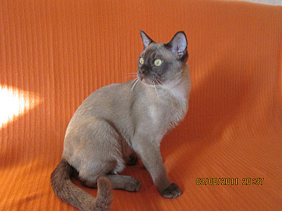 click for enlarge 800 X 600 139,8 Kb picture
