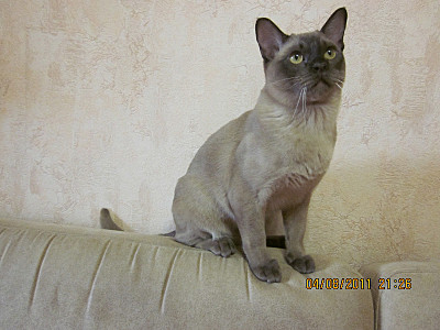 click for enlarge 800 X 600 121,4 Kb picture