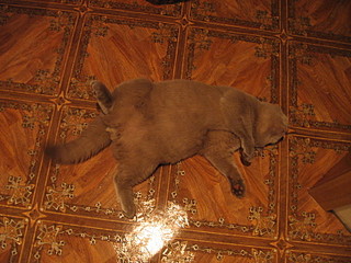 click for enlarge 1600 X 1200 690,8 Kb picture