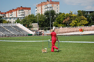 click for enlarge 800 X 531 230,9 Kb picture