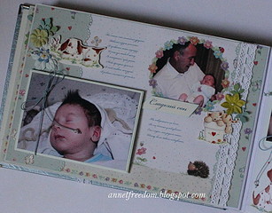 click for enlarge 1920 X 1497 820,0 Kb picture