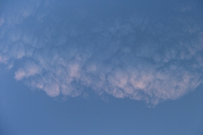 click for enlarge 1920 X 1279 47,0 Kb picture