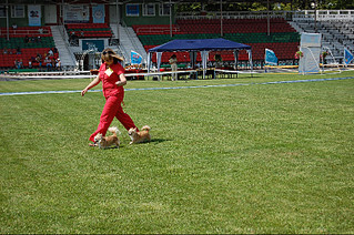click for enlarge 800 X 531 246,2 Kb picture