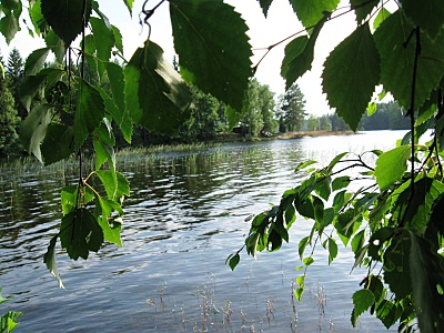 click for enlarge 800 X 600 279,3 Kb picture