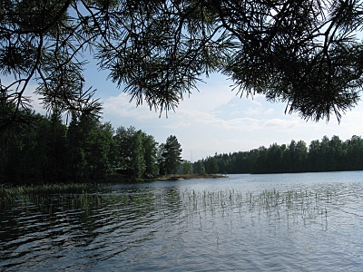 click for enlarge 800 X 600 321,4 Kb picture