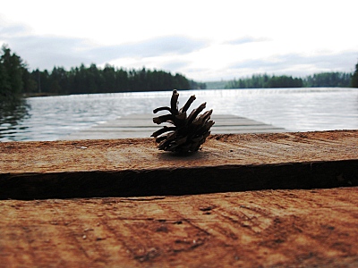 click for enlarge 800 X 600 178,3 Kb picture