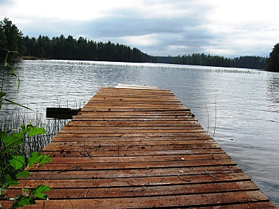 click for enlarge 800 X 600 273,7 Kb picture