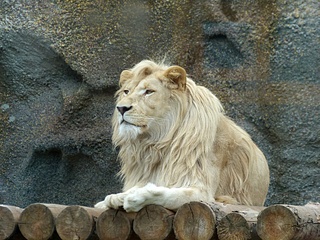 click for enlarge 1024 X 768 349,2 Kb picture