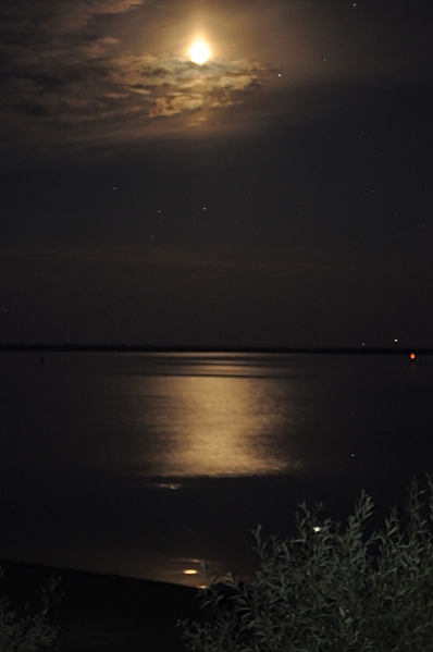click for enlarge 1920 X 2890 106,4 Kb picture