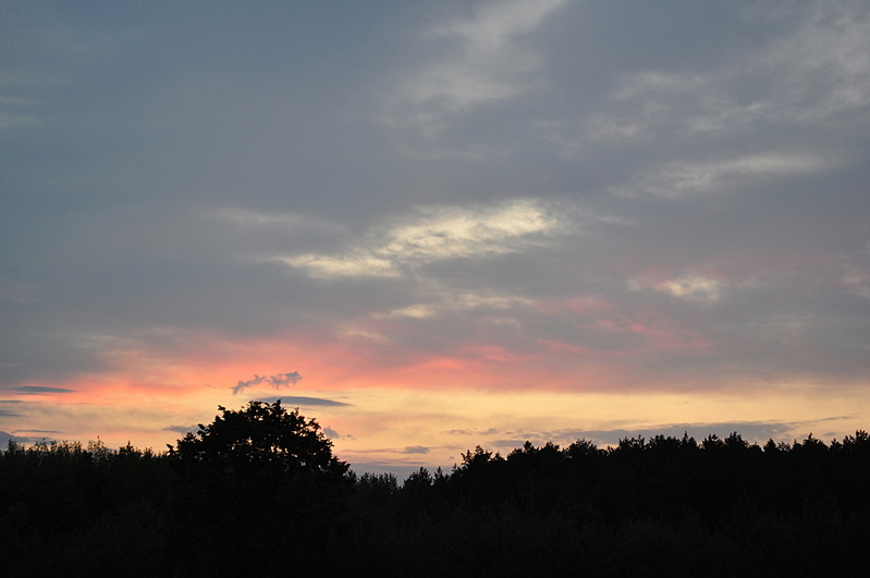 click for enlarge 1920 X 1275  62,1 Kb picture