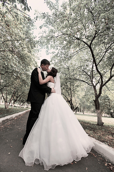 click for enlarge 588 X 883 490,0 Kb picture