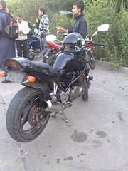 click for enlarge 1920 X 2560 990,1 Kb picture