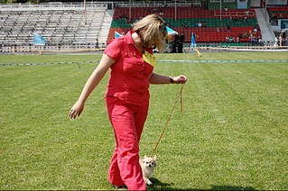 click for enlarge 800 X 531 243,4 Kb picture