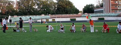 click for enlarge 720 X 273 56,0 Kb picture