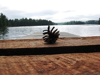 click for enlarge 800 X 600 168,9 Kb picture